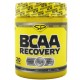 BCAA Recovery (250г)